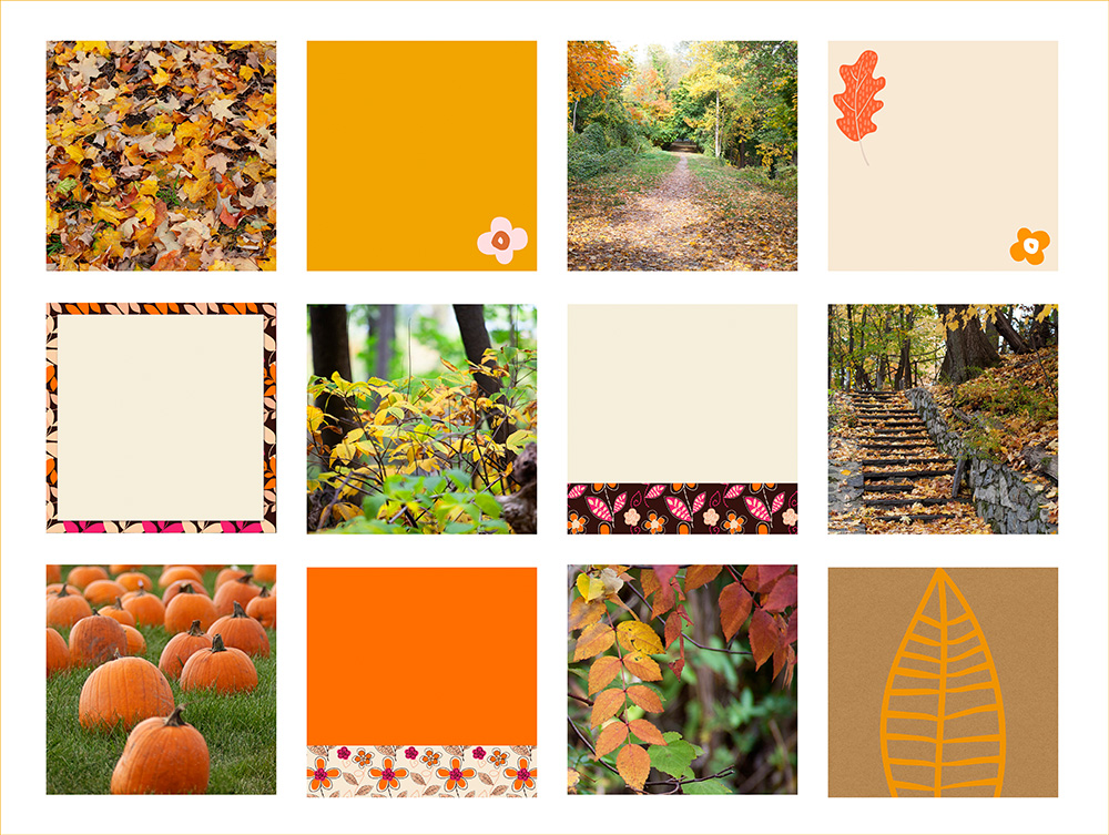 Fall stock-sm Fall Stock Images