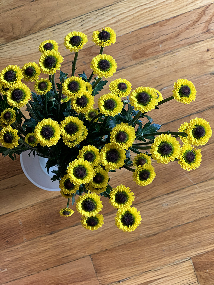 yellow flowers