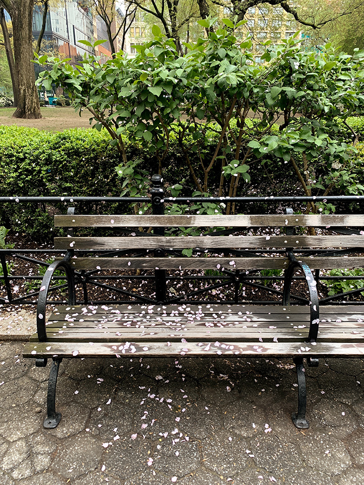 Union Square park