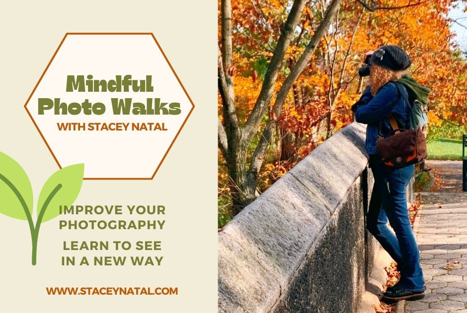 Mindful Photo Walk