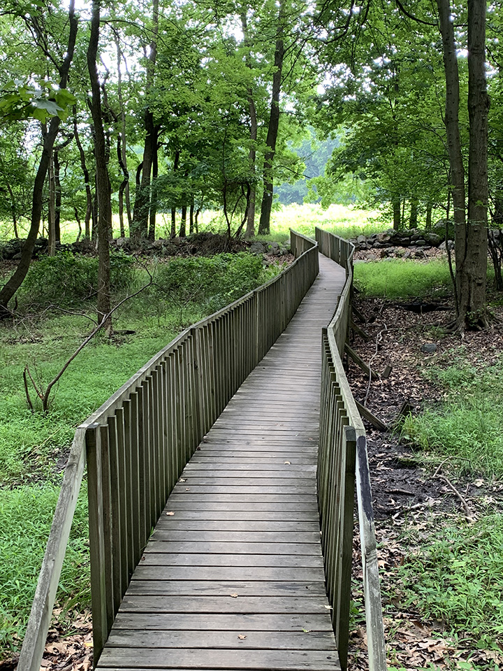 marshlands conservancy