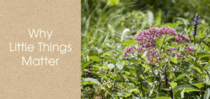 Why Little Things Matter