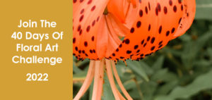 40 days of floral art challenge with Stacey Natal